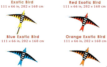 "Exotic" Bird