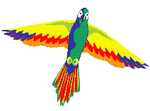 Parrot (link to Exotic Birds)
