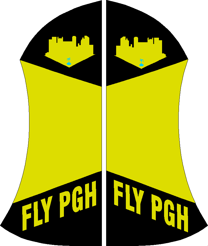 Fly Pgh Banner (with Gold center)