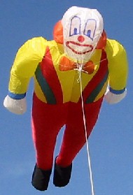"Clown" by Jim Rowlands