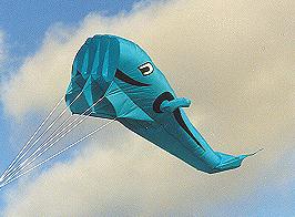 Jim Rowlands'  "Whale"