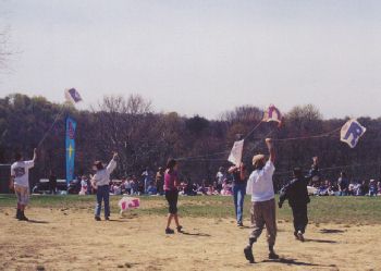 Kids flying their sled kites