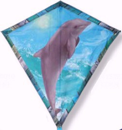 Diamond Dolphin