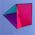 Traid (Pur,Pink,Teal)
