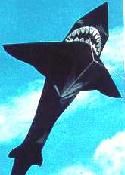 7' Shark Kite